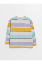 LC Waikiki Crew Neck Long Sleeve Striped Baby Boy T-Shirt