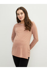 LC Waikiki Crew Neck Striped Long Sleeve Cotton Maternity T-Shirt