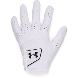 Pánské golfové kožené rukavice Under Armour Spieth Tour Golf Glove