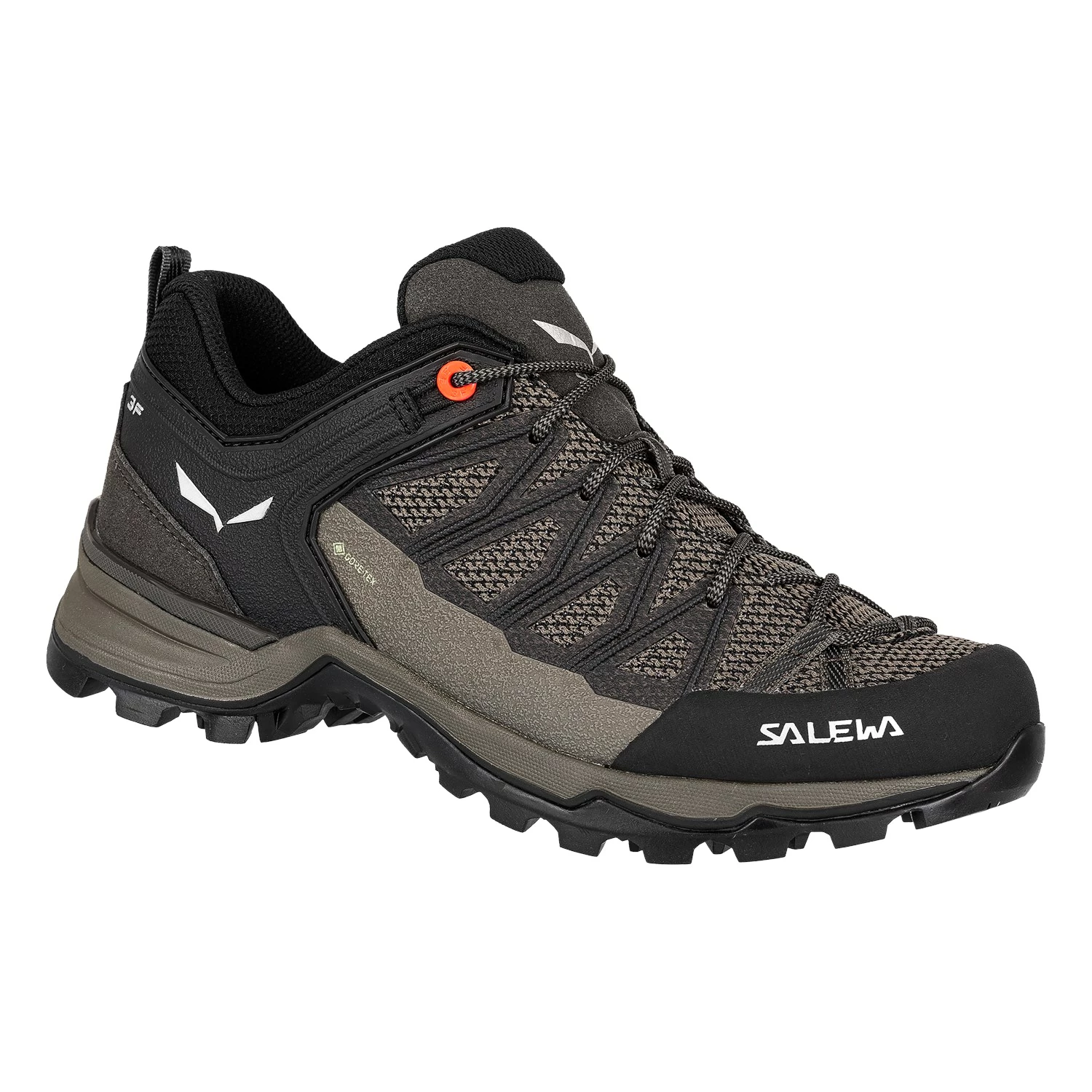 Salewa Mtn Trainer Lite Gtx