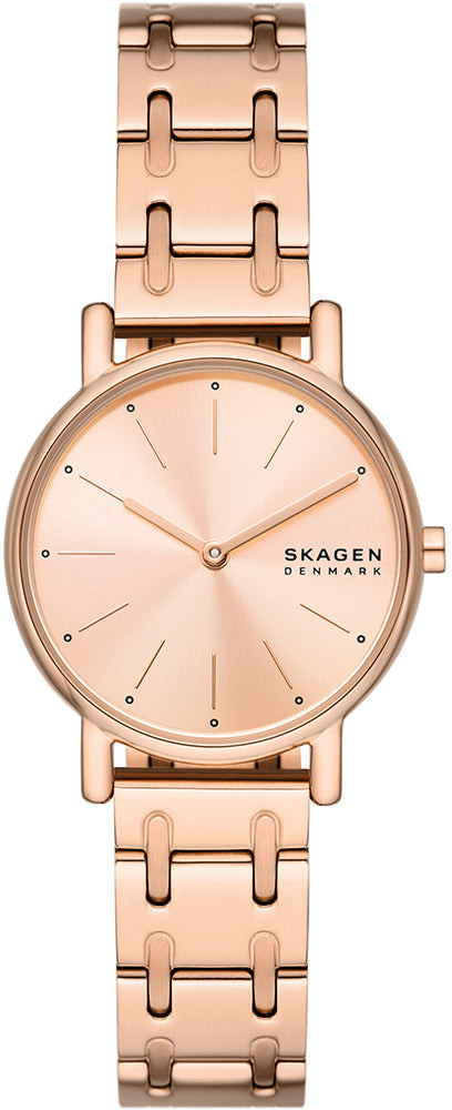 Skagen Signatur Lille SKW3125