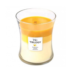 WoodWick Vonná svíčka Trilogy Fruits Of Summer 275 g